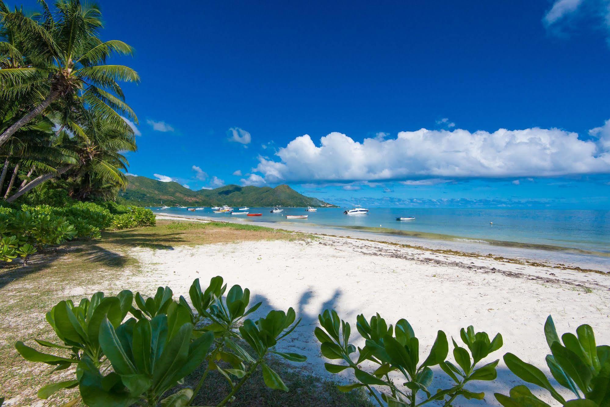 Le Tropique Villa Grand Anse  Eksteriør bilde